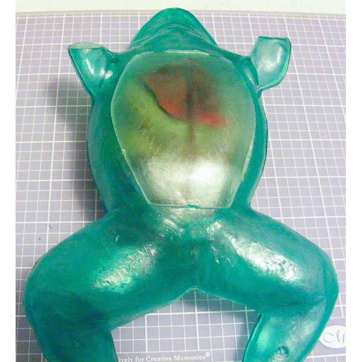 Przezroczysta żaba rycząca – Transparent Bull Frog  | Edukacyjny model anatomiczny Lindberg (długość 27,9 cm)