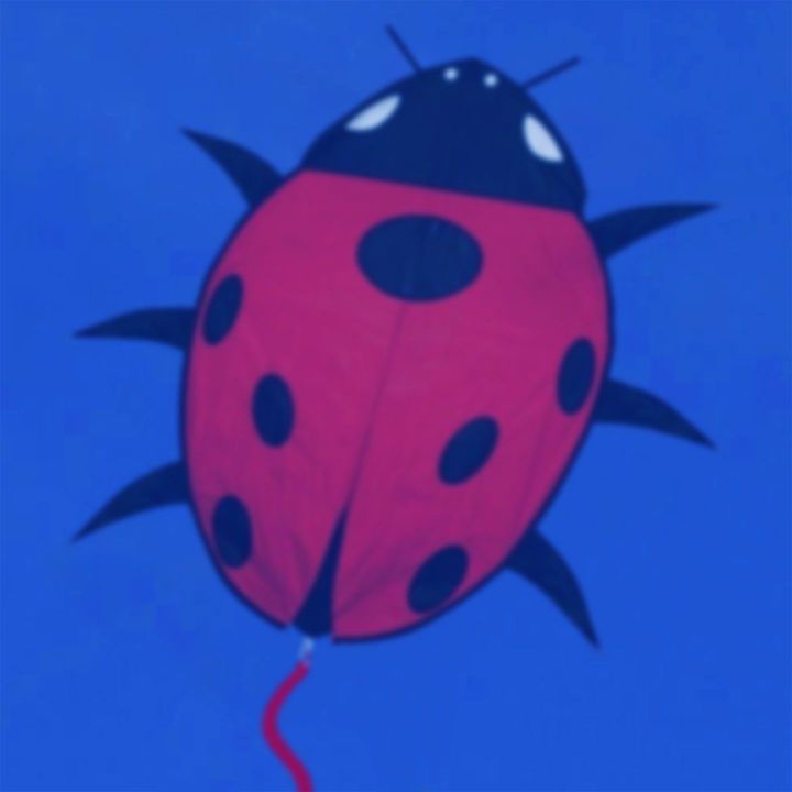 Latawiec Lady Bug – Wesoła biedronka szybująca w błękicie | Nylonowy latawiec 99 cm z charakterystycznymi kropkami