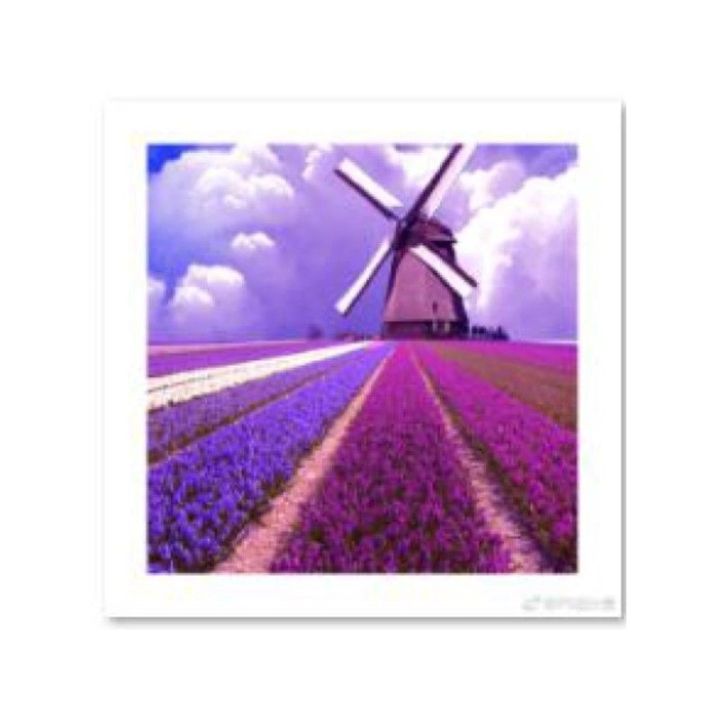 Haft Diamentowy, Obraz, Mozaika Diamentowa Diamond Painting, WIATRAK 30x30cm