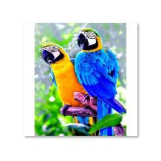 Haft Diamentowy, Obraz, Mozaika Diamentowa Diamond Painting, DWIE PAPUGI 30x40cm