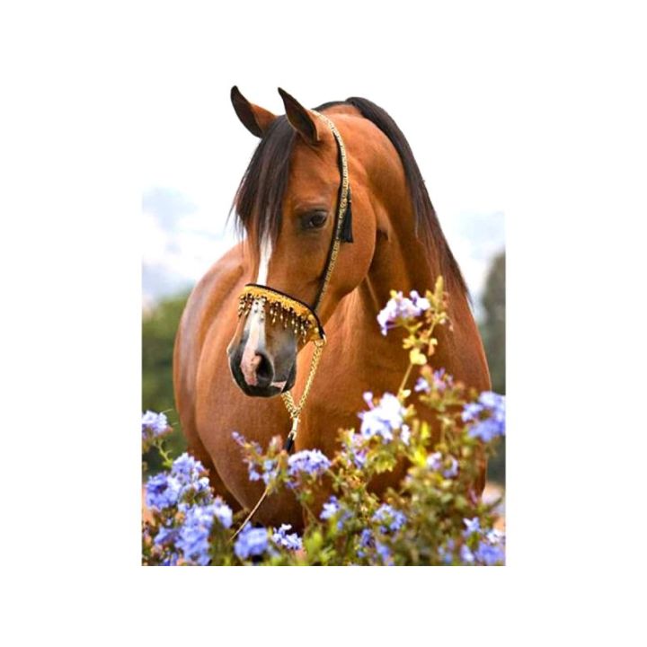 Haft Diamentowy, Obraz, Mozaika Diamentowa Diamond Painting, KOŃ - ŁĄKA 30x40cm