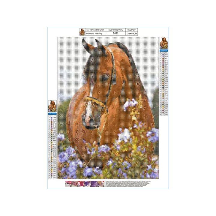 Haft Diamentowy, Obraz, Mozaika Diamentowa Diamond Painting, KOŃ - ŁĄKA 30x40cm