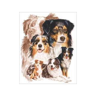 Haft Diamentowy, Obraz, Mozaika Diamentowa Diamond Painting, PIES - OWCZAREK AUSTRALIJSKI 30x40cm