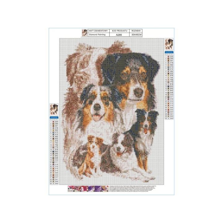 Haft Diamentowy, Obraz, Mozaika Diamentowa Diamond Painting, PIES - OWCZAREK AUSTRALIJSKI 30x40cm