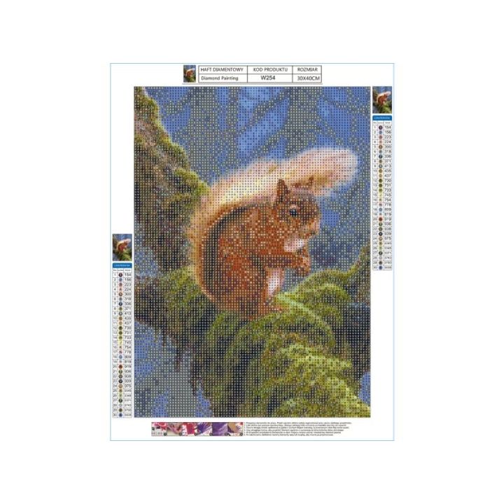 Haft Diamentowy, Obraz, Mozaika Diamentowa Diamond Painting, WIEWIÓRKA 30x40cm