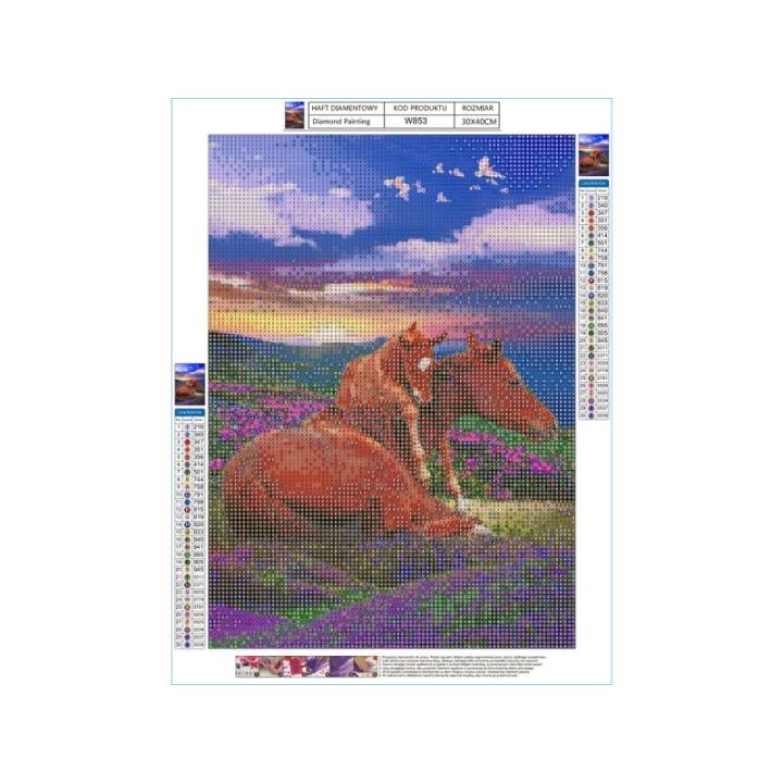 Haft Diamentowy, Obraz, Mozaika Diamentowa Diamond Painting, DWA KONIE - GÓRY 30x40cm