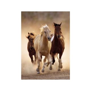 Haft Diamentowy, Obraz, Mozaika Diamentowa Diamond Painting, KONIE W GALOPIE 30x40cm