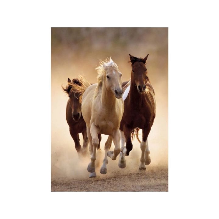 Haft Diamentowy, Obraz, Mozaika Diamentowa Diamond Painting, KONIE W GALOPIE 30x40cm