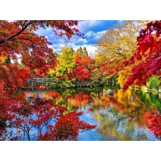 Haft Diamentowy, Obraz, Mozaika Diamentowa Diamond Painting, PARK JESIENIĄ 40x30cm