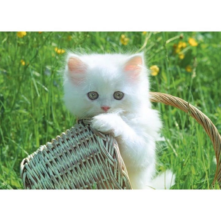 Haft Diamentowy, Obraz, Mozaika Diamentowa Diamond Painting, KOTEK W KOSZYKU 40x30cm