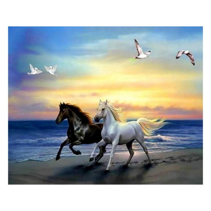 Haft Diamentowy, Obraz, Mozaika Diamentowa Diamond Painting, DWA KONIE BIAŁY I CZARNY 30x30cm