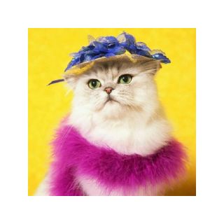 Haft Diamentowy, Obraz, Mozaika Diamentowa Diamond Painting, KOT W KAPELUSZU 30x30cm