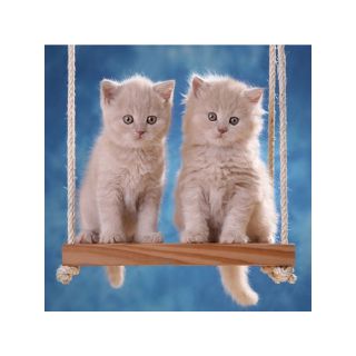 Haft Diamentowy, Obraz, Mozaika Diamentowa Diamond Painting, KOTKI NA HUŚTAWCE 30x30cm