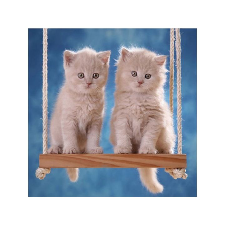 Haft Diamentowy, Obraz, Mozaika Diamentowa Diamond Painting, KOTKI NA HUŚTAWCE 30x30cm