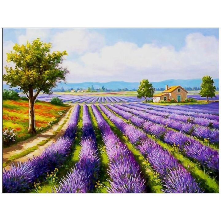 OBRAZ MALOWANIE PO NUMERACH RAMA 50x40cm POLE LAWENDY