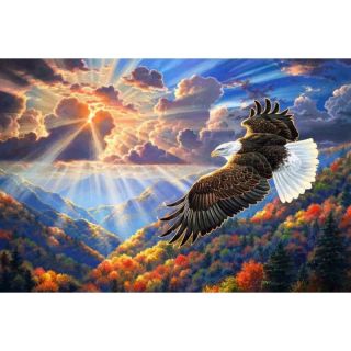 Haft Diamentowy, Obraz, Mozaika Diamentowa Diamond Painting, ORZEŁ NA NIEBIE 40x30cm