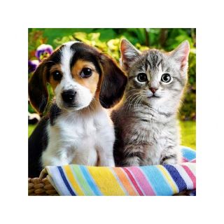 Haft Diamentowy, Obraz, Mozaika Diamentowa Diamond Painting, SZCZENIAK Z KOTKIEM 30x30cm