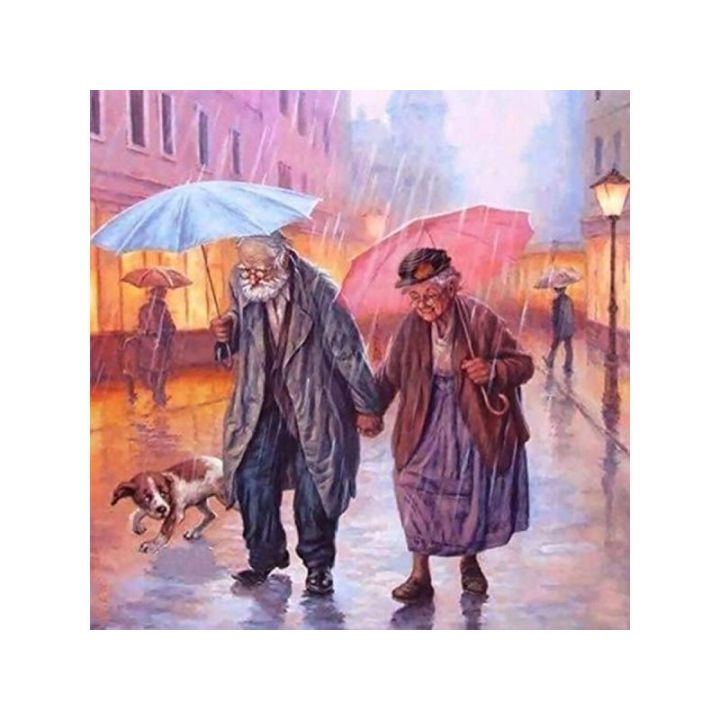 OBRAZ MALOWANIE PO NUMERACH RAMA 45x45cm SPACER W DESZCZU