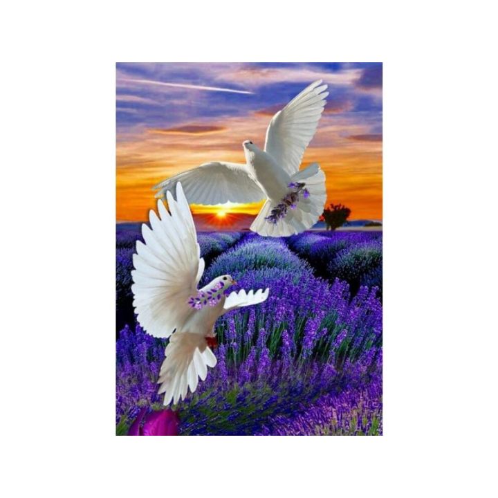 OBRAZ MALOWANIE PO NUMERACH RAMA 40x50cm  DWA GOŁĘBIE