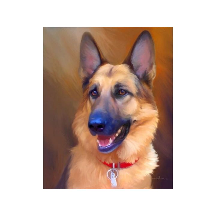 OBRAZ MALOWANIE PO NUMERACH RAMA 40x50cm PIES - OWCZAREK NIEMIECKI