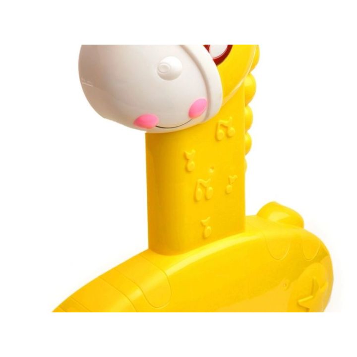 Edukacyjny Chodzik-Pchacz Interaktywny z Melodyjkami i Piłeczkami