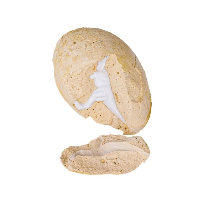 Wykopaliska Archeologiczne, JAJKO Z DINOZAUREM, Mały Archeolog - Zestaw