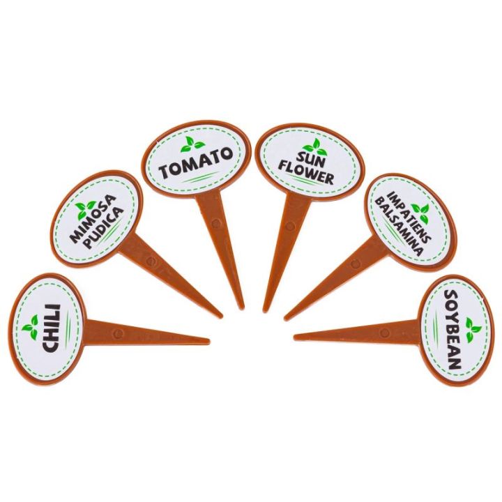 Szklarnia Dla Dzieci, Mini Ogród, Ogródek + Akcesoria