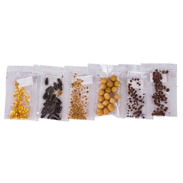 Szklarnia Dla Dzieci, Mini Ogród, Ogródek + Akcesoria