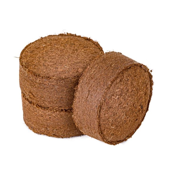 Szklarnia Dla Dzieci, Mini Ogród, Ogródek + Akcesoria